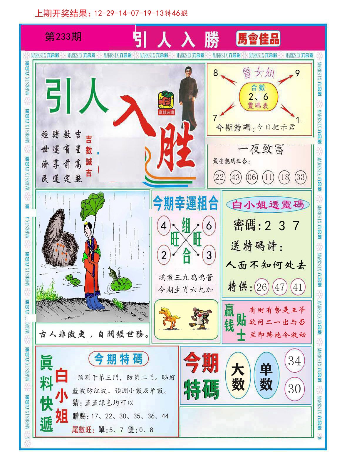 引人入胜 第233期