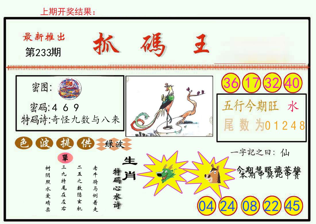 最新抓码王 第233期