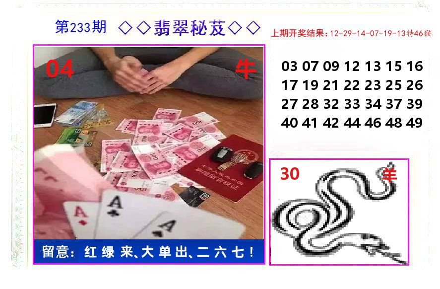 翡翠秘芨 第233期