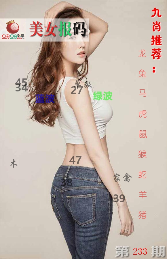 美女报码 第233期