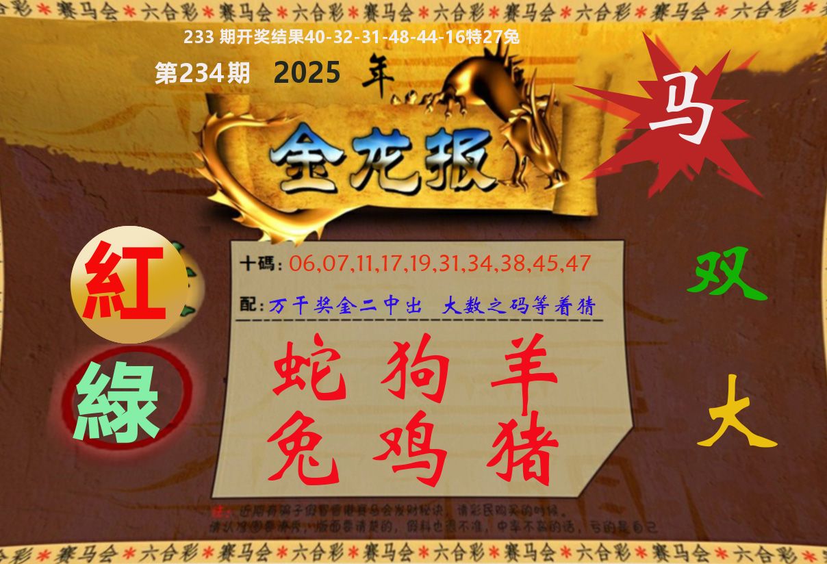 金龙报 第234期