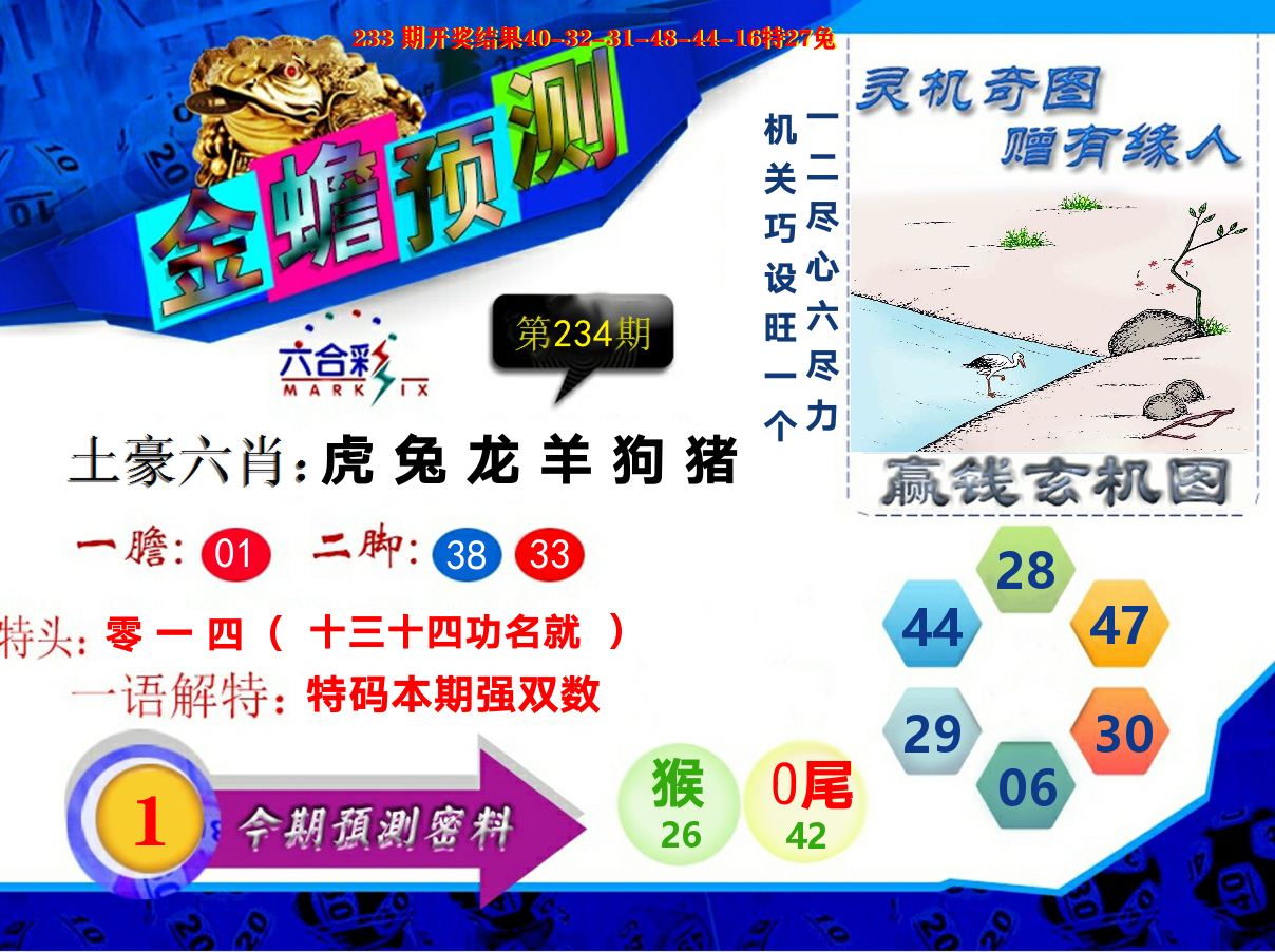 金蟾预测 第234期