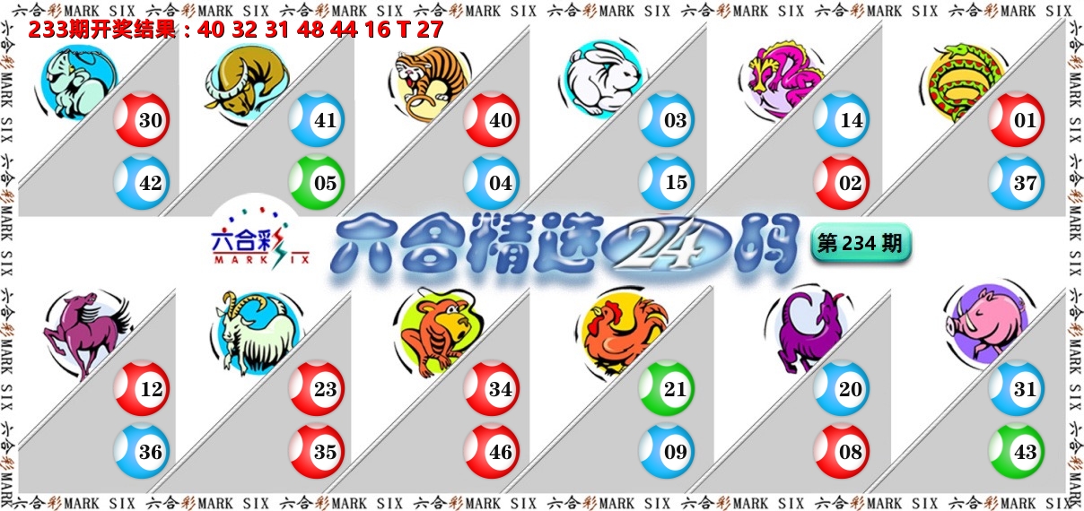 六合精选24码 第234期