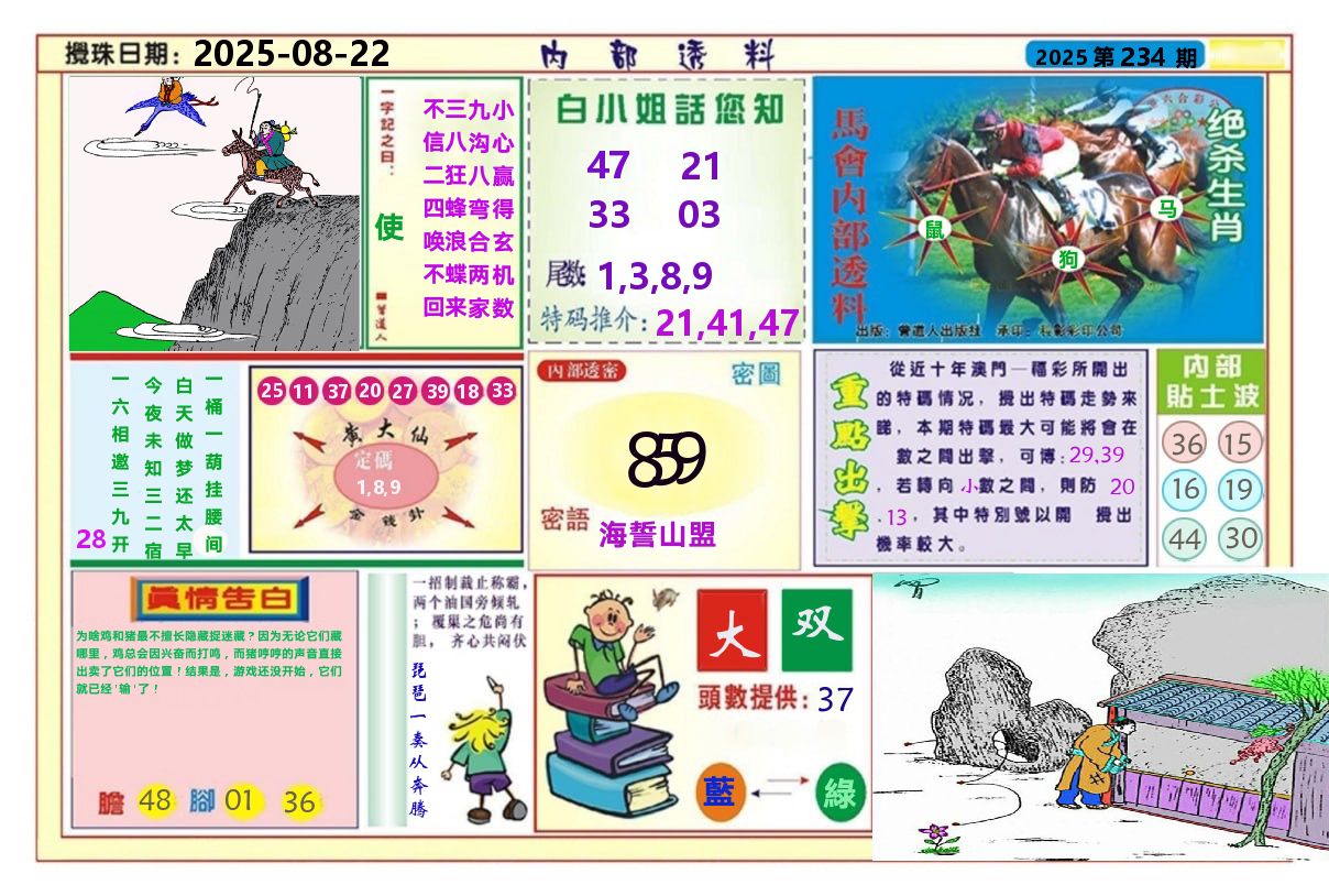 澳门内部透料A 第234期