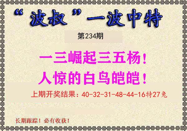 波叔中特 第234期