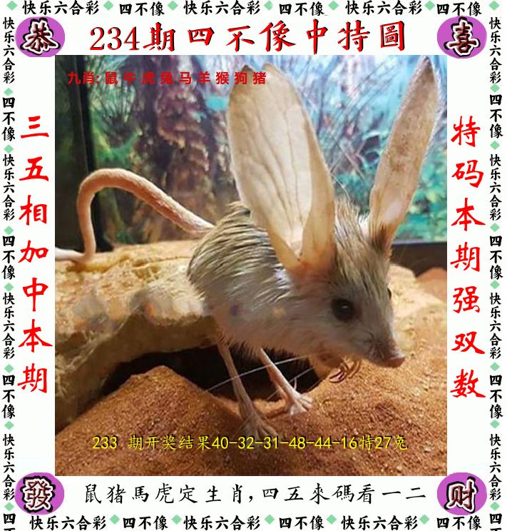 四不像 第234期