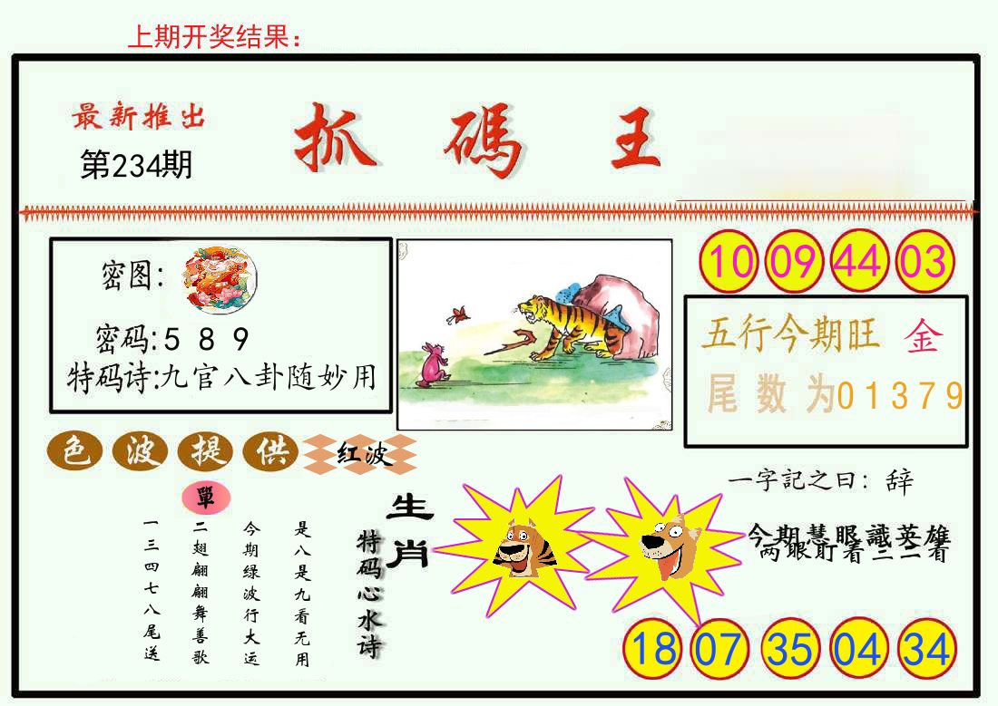 最新抓码王 第234期