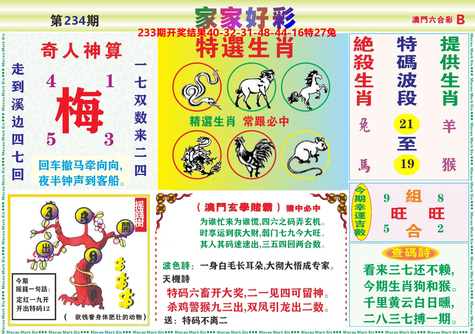 家家好彩B 第234期