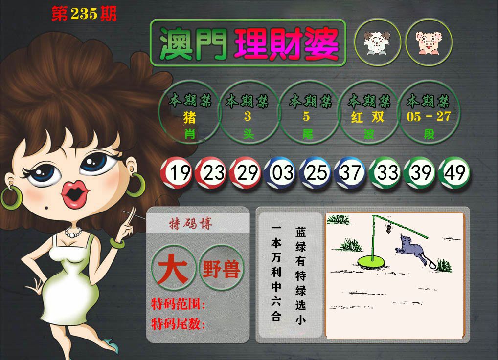 理财婆 第235期