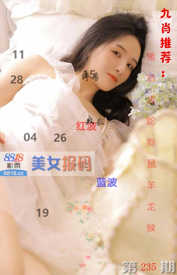 美女报码 第235期