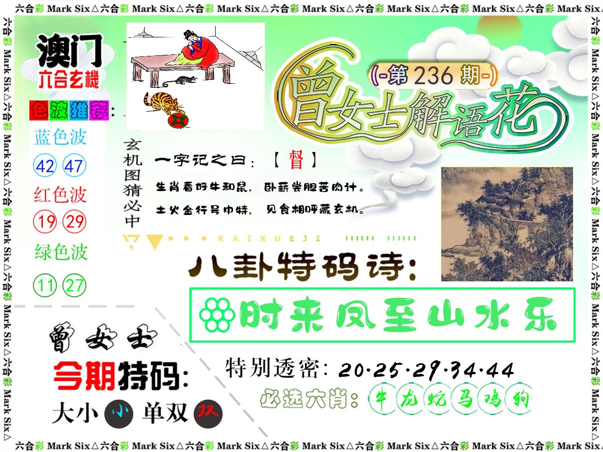 曾女士解语花 第236期