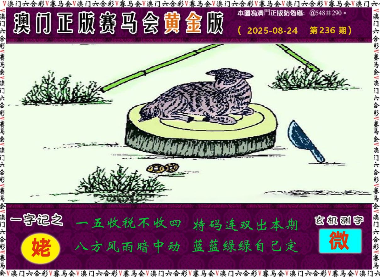 赛马会黄金版 第236期