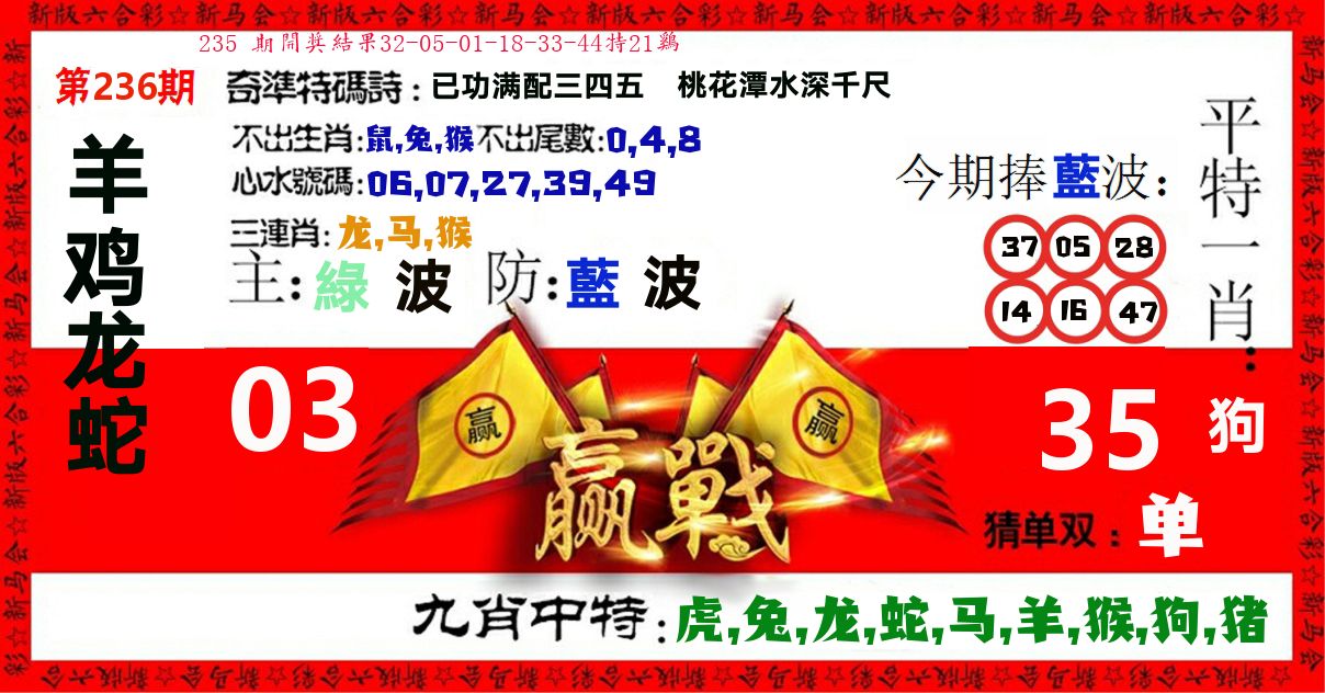赢站 第236期