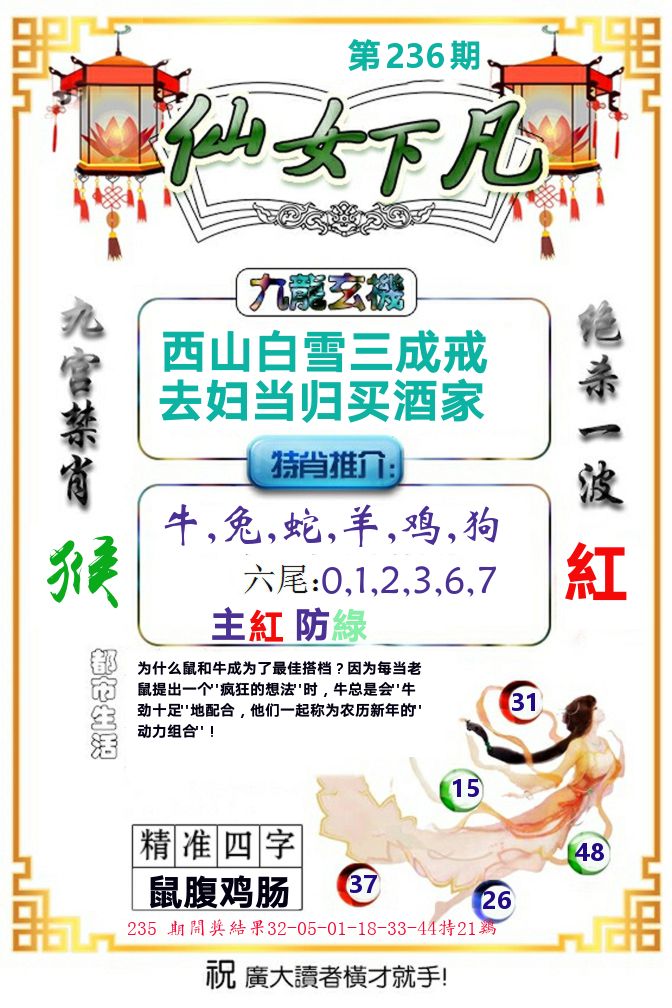 仙女下凡 第236期