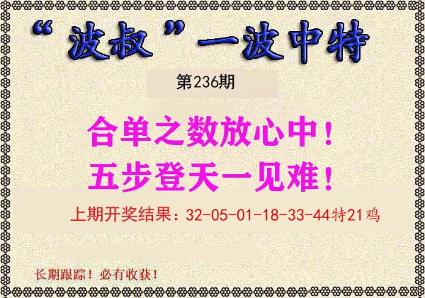 波叔中特 第236期