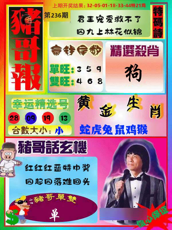 猪哥报 第236期