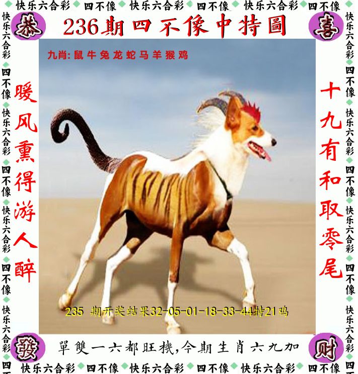 四不像 第236期