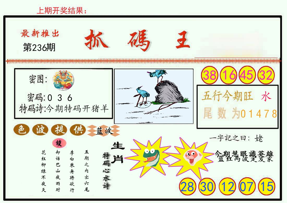 最新抓码王 第236期
