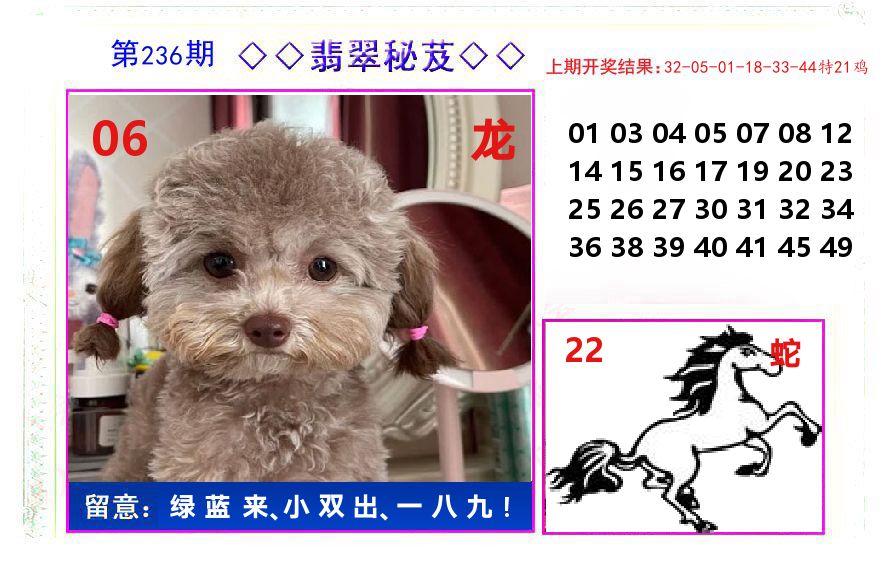 翡翠秘芨 第236期