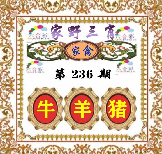 家野三肖 第236期