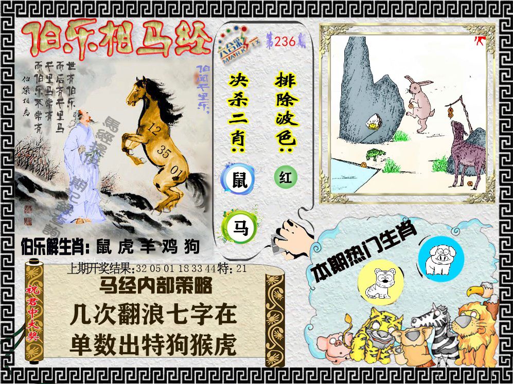 伯乐相马经 第236期