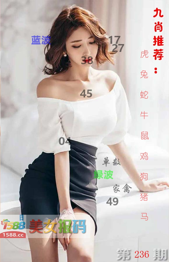 美女报码 第236期