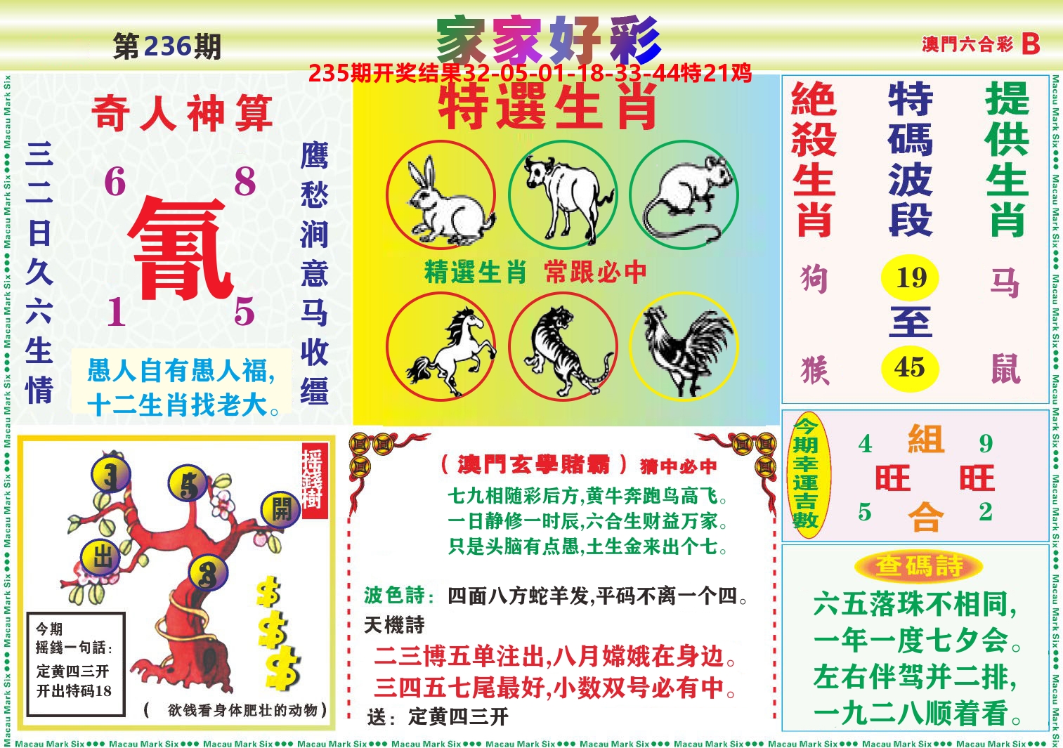家家好彩B 第236期