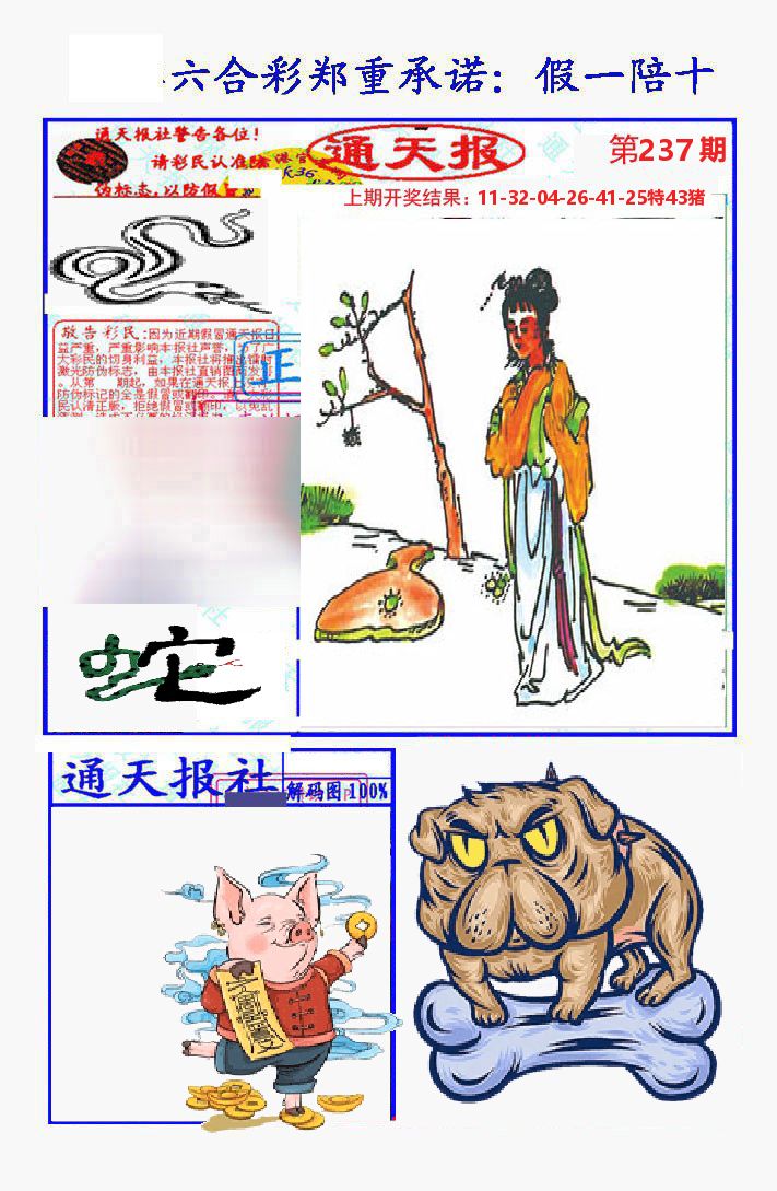 通天报 第237期