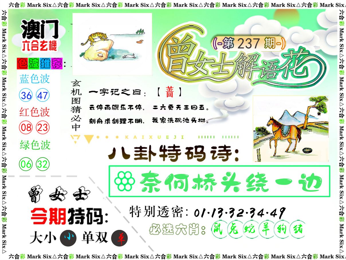 曾女士解语花 第237期