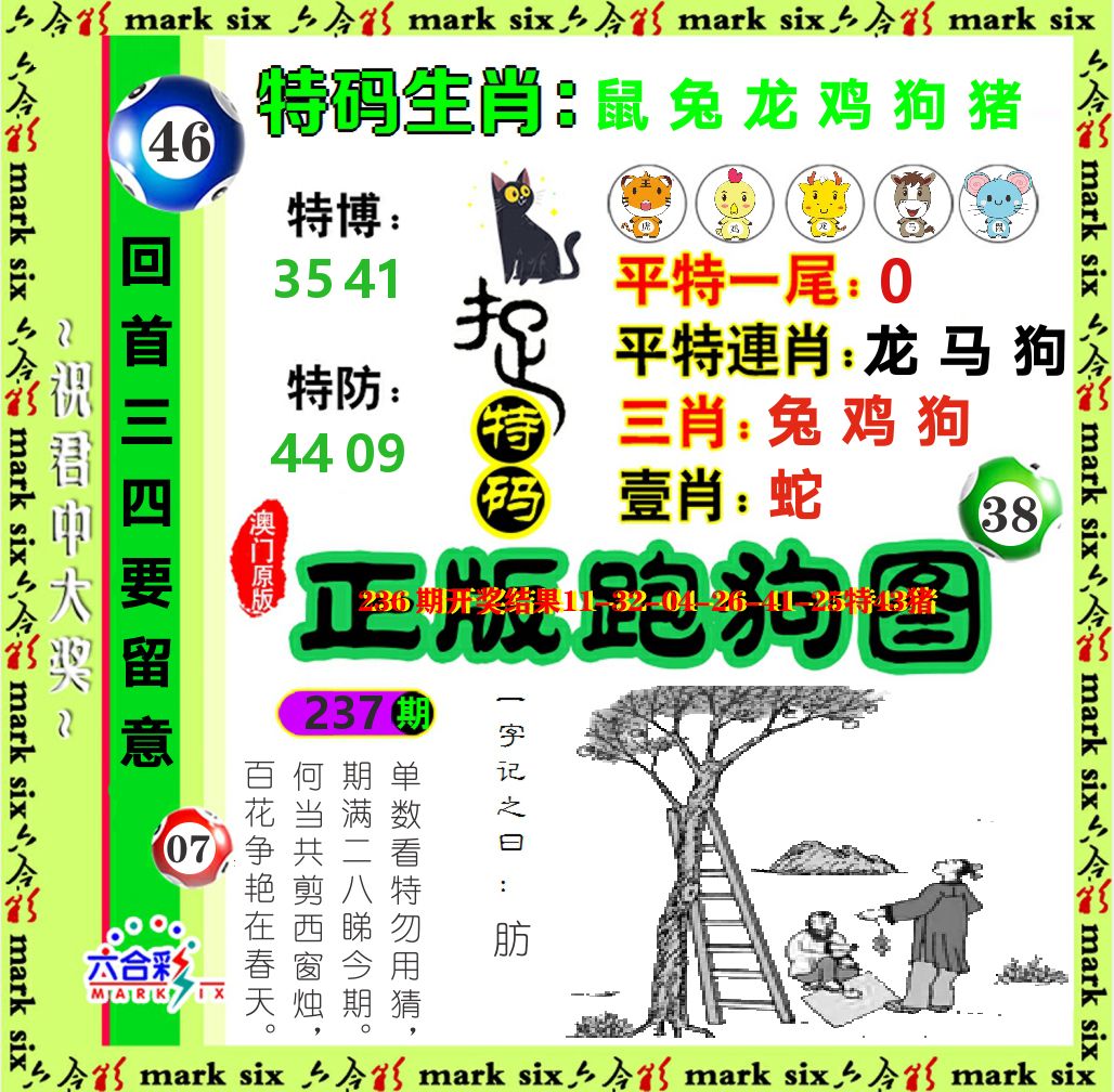 正版跑狗图 第237期