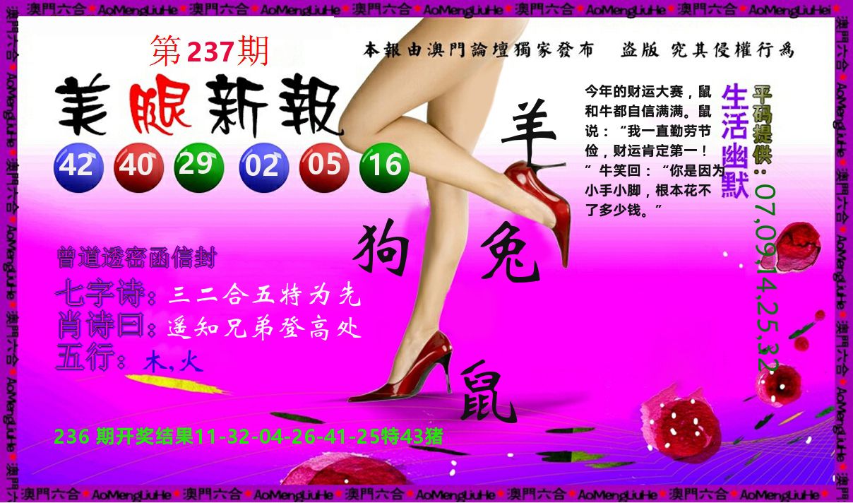 美腿新报 第237期