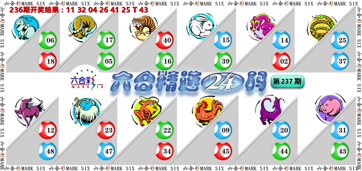六合精选24码 第237期