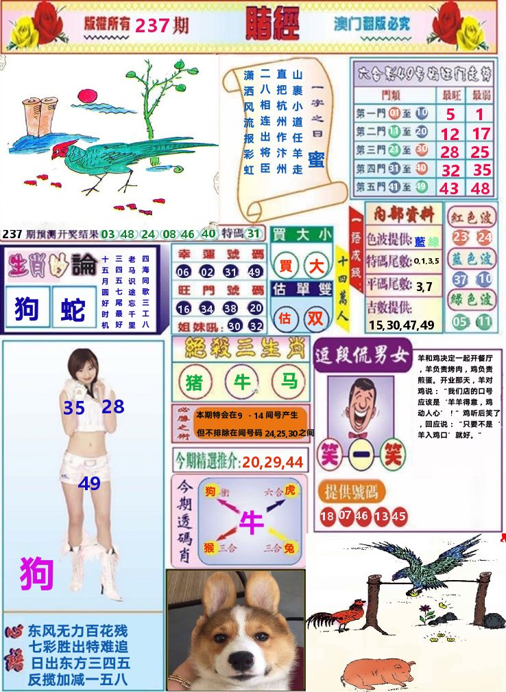 澳门赌经 第237期