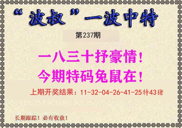 波叔中特 第237期
