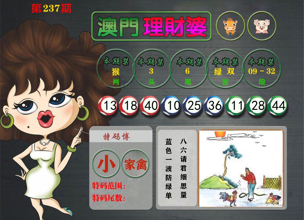 理财婆 第237期