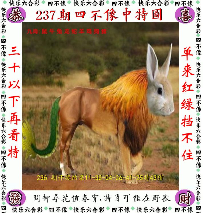 四不像 第237期