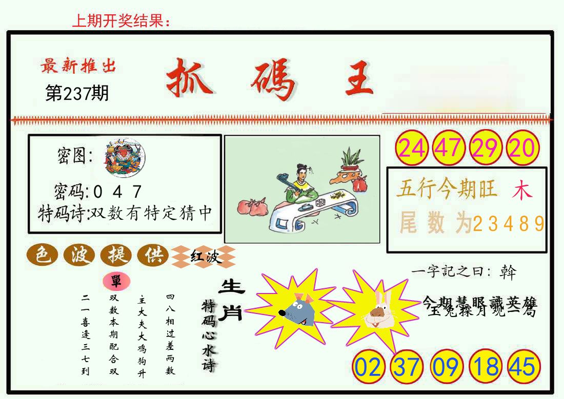 最新抓码王 第237期