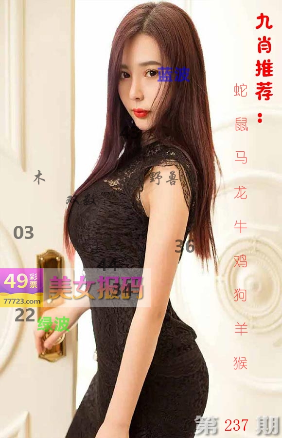 美女报码 第237期