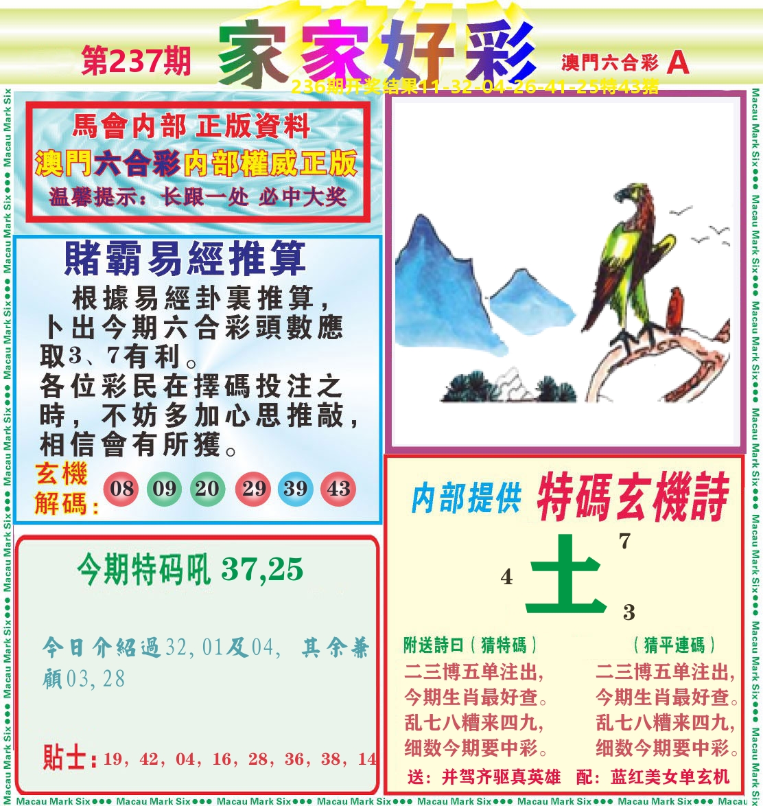 家家好彩A 第237期