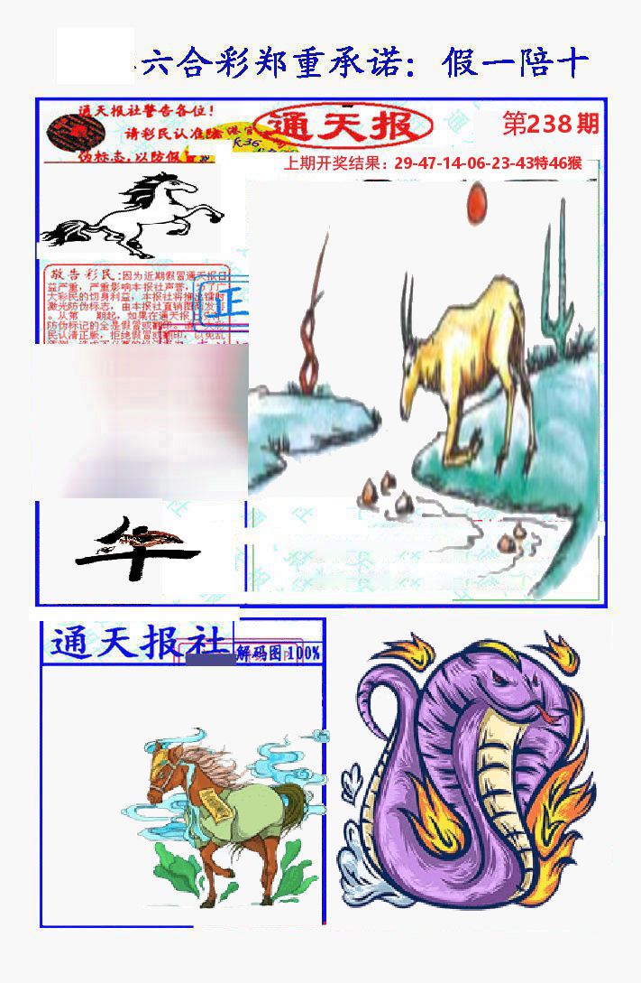 通天报 第238期