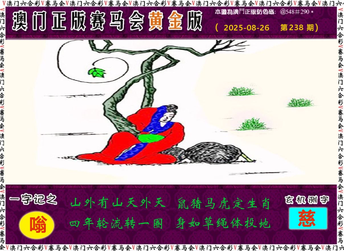 赛马会黄金版 第238期