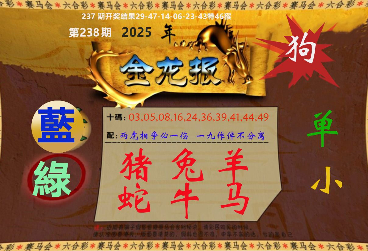 金龙报 第238期