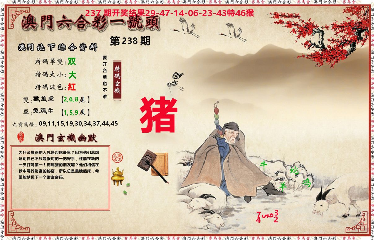 一号头 第238期