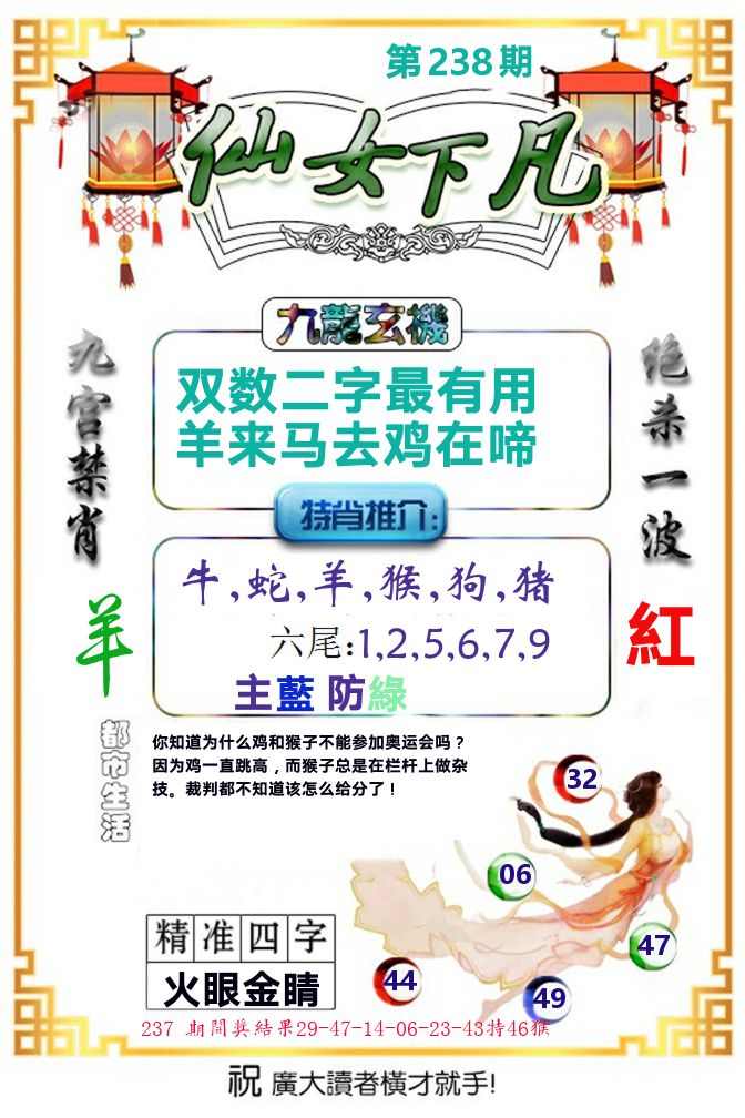 仙女下凡 第238期
