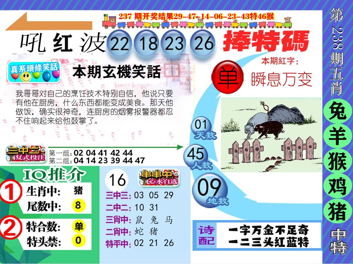 新特报 第238期