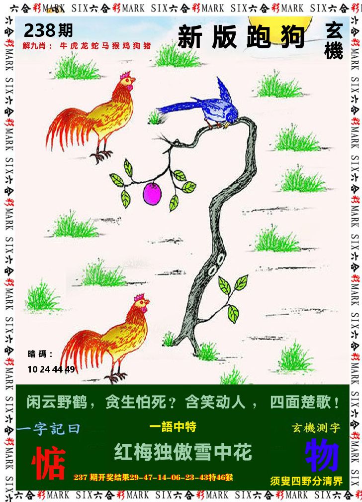 悟入其图 第238期