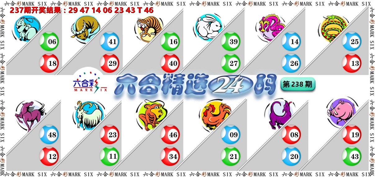 六合精选24码 第238期