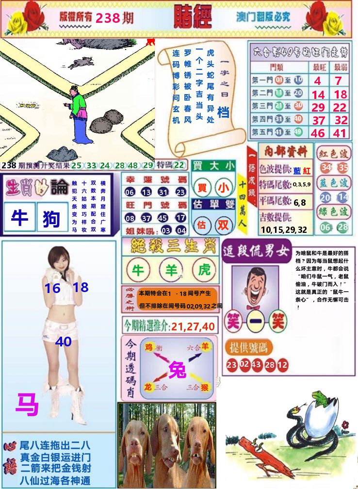 澳门赌经 第238期