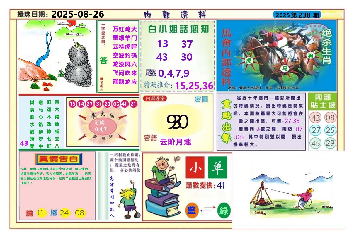 澳门内部透料A 第238期
