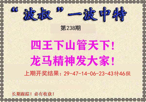 波叔中特 第238期